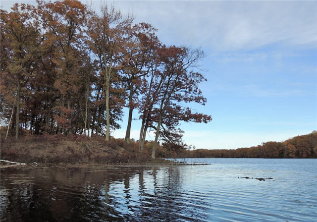 Tree Point, henneman-lake