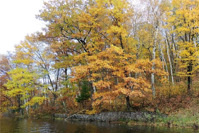 Wall, henneman-lake