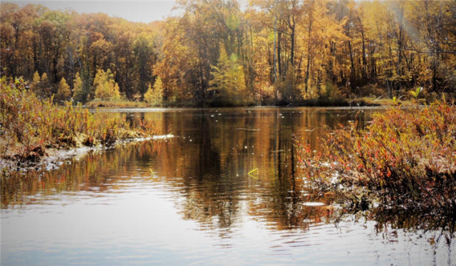 Bay, henneman-lake