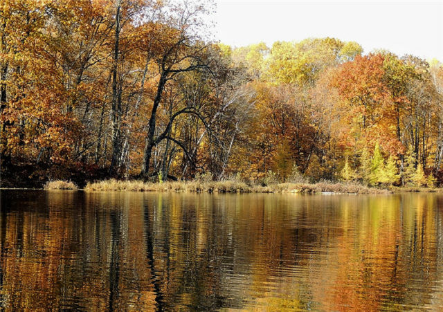 Bay, henneman-lake