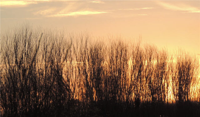 Evening Twilight, Lake Waubesa