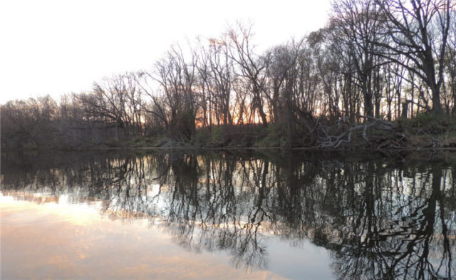Tree Reflection, lake-waubesa