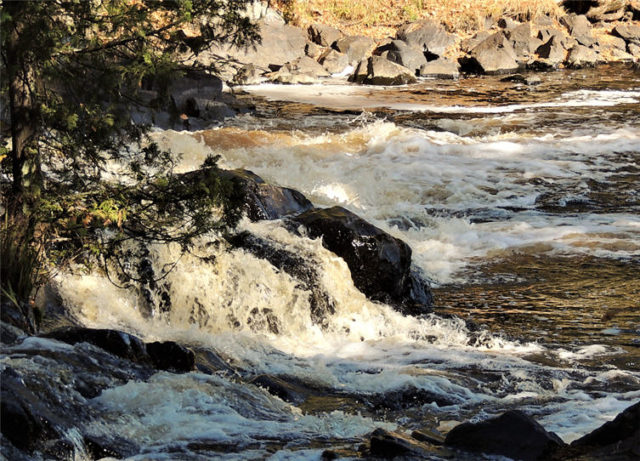 Whitewater, turtle-river