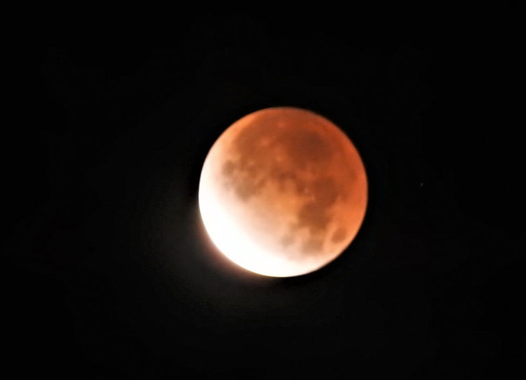 Beaver Moon Lunar Eclipse, Olbrich Park Madison, WI My Wisconsin Space